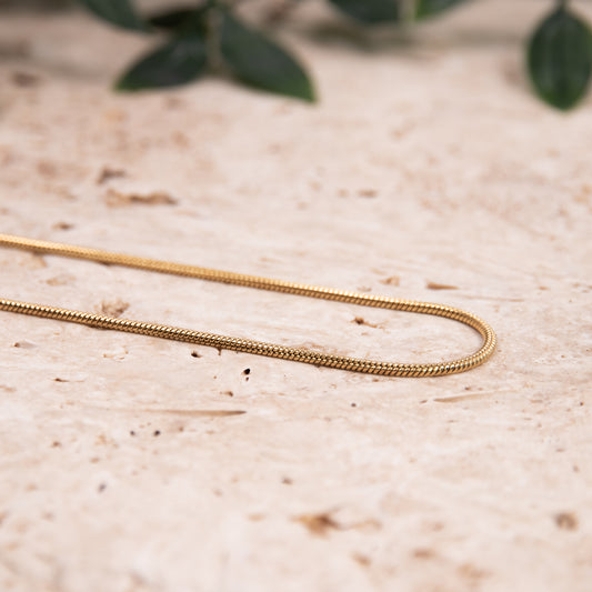 Snake Necklace in Yellow Gold Plating